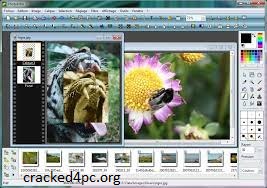 PhotoFiltre Studio X 11.4.1 Crack + License Key Free Download