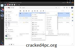 Wavebox 10.104.7.2 Crack + License Key Free Download
